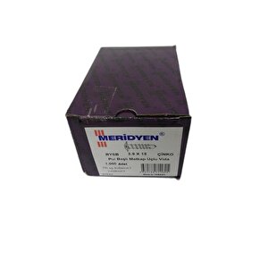 3.9 X13 Pul Başlı Matkap Uçlu Vida (kutu 1000 Adet )