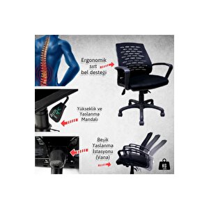 Dekormila Pole Fileli Çalışma Koltuğu Ofis Koltuğu Büro Koltuğu Döner Ofis Sandalyesi Plastik Ayak