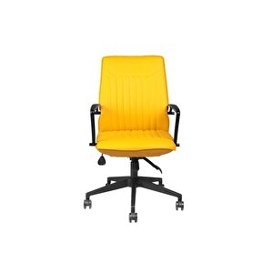 Dekormila T-001-sr Deri Çalışma Koltuğu