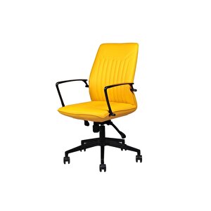 Dekormila T-001-sr Deri Çalışma Koltuğu