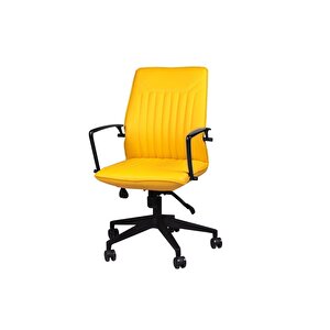 Dekormila T-001-sr Deri Çalışma Koltuğu