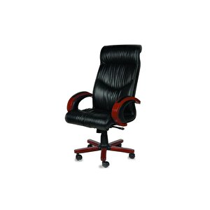 Dekormila Profesyonel Büro Koltuğu