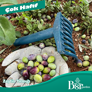 Zeytin Tırmığı 1 Adet Bsr Garden