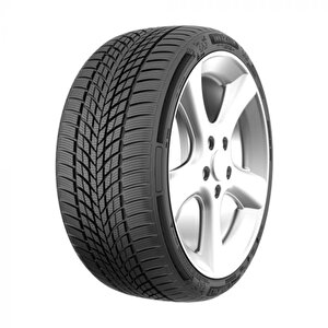 225/45 R17 94v Xl Carmile Winter Oto Kış Lastiği ( Üretim Yılı: 2024 )