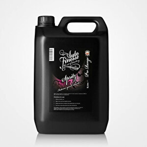 İç Detay Spreyi - Spritz - 5 Lt