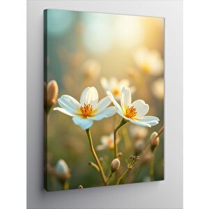Kanvas Tablo Beyaz Çiçeklerin Zarafeti 70x100 cm