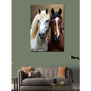 Kanvas Tablo İki Beyaz At Portresi 70x100 cm