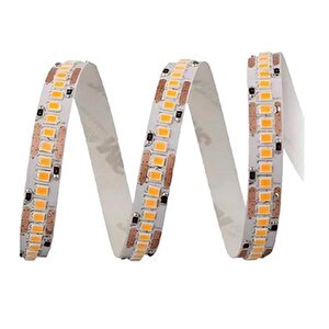 240 Çipli Led Şerit İç Mekan Günışığı 5m Cat Ct-4538g
