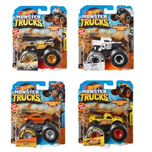 Fyj44 Hot Wheels, Monster Truc1:64 Arabalar