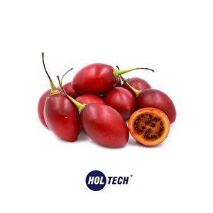 Tamarillo Meyvesi Tohumu 20 Adet ( Tamarillo Ağaç Domatesi )