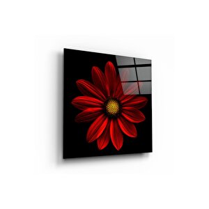 Çiçek Cam Tablo | Hediyelik, Dekoratif, Ofis, Mutfak 80x80 cm