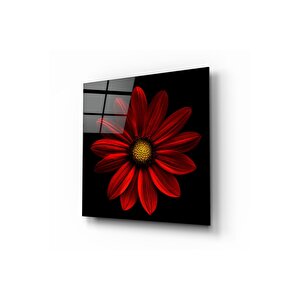Çiçek Cam Tablo | Hediyelik, Dekoratif, Ofis, Mutfak 80x80 cm
