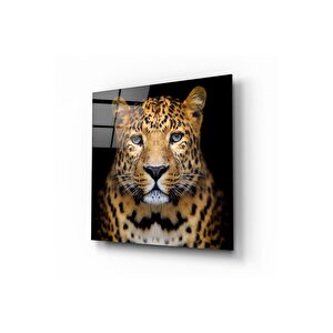 Leopar Cam Tablo | Hediyelik, Dekoratif, Ofis, Mutfak 60x60 cm