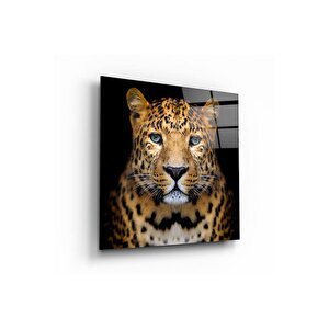Leopar Cam Tablo | Hediyelik, Dekoratif, Ofis, Mutfak 40x40 cm