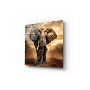 Fil Cam Tablo | Hediyelik, Dekoratif, Ofis, Mutfak 80x80 cm