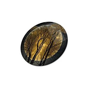 Ay Yuvarlak Cam Tablo | Hediyelik, Dekoratif, Ofis, Mutfak 30x30 cm
