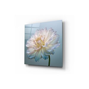 Çiçek Cam Tablo | Hediyelik, Dekoratif, Ofis, Mutfak 30x30 cm