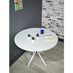 Sedef Beyaz Yuvarlak Mutfak Yemek Masası Balkon Masası Metal Beyaz Ayak 100 Cm