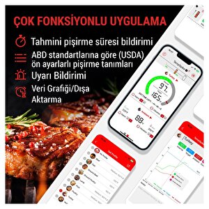 Thermopro Tp960 Bluetooth, Digital,tek Problu Profesyonel Et Termometresi