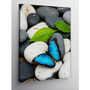 Kanvas Tablo Mavi Kelebek Ve Taş Dengesi 50x70 cm