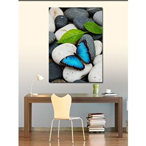 Kanvas Tablo Mavi Kelebek Ve Taş Dengesi 50x70 cm