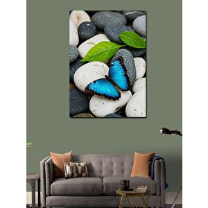 Kanvas Tablo Mavi Kelebek Ve Taş Dengesi 100x140 cm