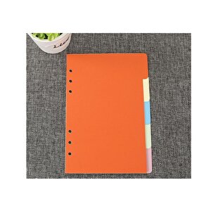 A4 Renkli Ayraç Seperatör Pvc Kapak Ve 5 Ayırma Sayfası