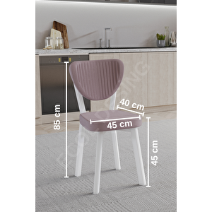 1 Adet Elma Model Mutfak Sandalyesi Salon Sandalyesi Yemek Sandalyesi Cafe Restaurant Sandalyesi