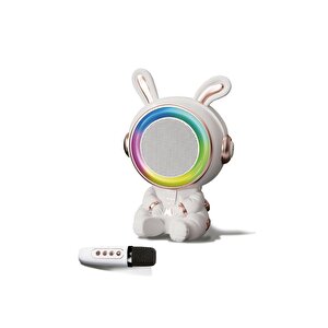 20w 2400 Mah Karaoke Mikrofonlu Ledli Bluetooth Hoparlör Bts-252