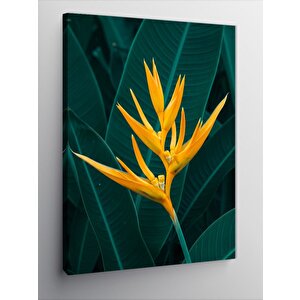 Kanvas Tablo Egzotik Çiçek Deseni 70x100 cm
