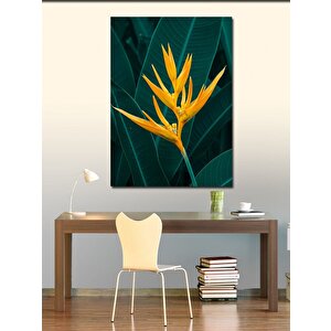 Kanvas Tablo Egzotik Çiçek Deseni 70x100 cm