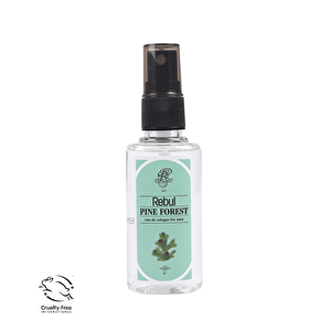 Pine Forest 50 Ml