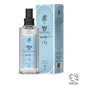 Rebul Kolonya Ice 100 Ml.