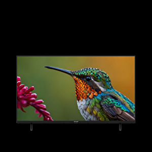 A43 D 697 B Android Tv