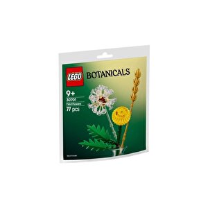 30701  Botanicals Field Flowers