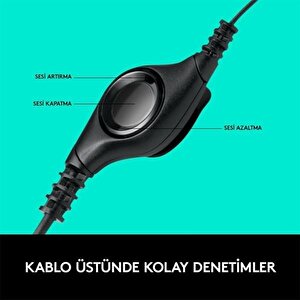 Logıtech H390 Usb Kulaklık-siyah 981-000406