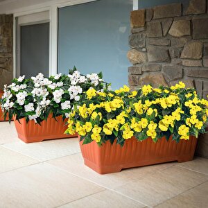 Canlı Renkli Kadife Dokulu Kaliteli Yapay Menekşe Demeti 40 Cm