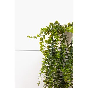 Beyaz Plastik Saksıda Yoğun Yapraklı 70 Cm Yapay Sarkan Şimşir
