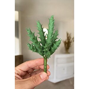 Gerçek Dokulu Yapay Kaktüs Sukulent