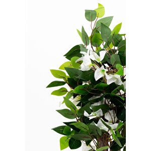 Taş Detayli Beyaz Renkli̇ Saksida 60 Cm Yapay Begonvi̇l Ağaci Beyaz