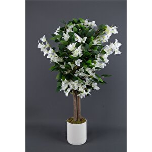 Yapay Begonvi̇l Ağaci