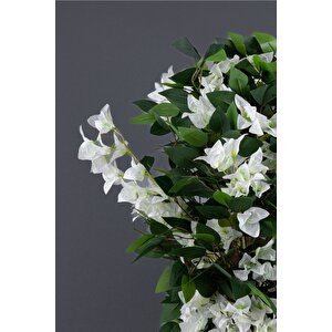 Yapay Begonvi̇l Ağaci