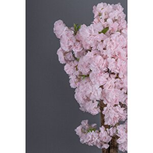 Beyaz Saksıda 100 Cm Bahar Dalı Ağacı Açık Pudra Pembe
