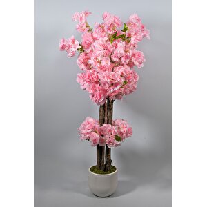 Beyaz Saksıda 100 Cm Bahar Dalı Ağacı Pembe
