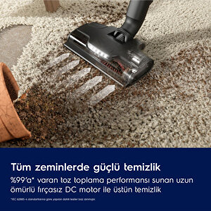 Ep82ab25ug 800 Animal Şarjlı Dikey Süpürge