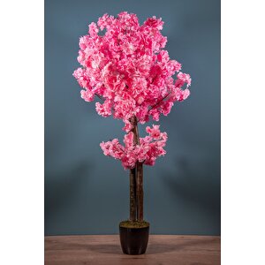 120 Cm Lüks Pembe Bahardalı Ağacı