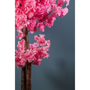 120 Cm Lüks Pembe Bahardalı Ağacı