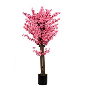 120 Cm Pembe Bahardalı Ağacı