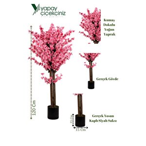120 Cm Pembe Bahardalı Ağacı