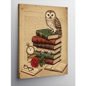 Kanvas Tablo Baykuş, Kitap Ve Antik Saat 50x70 cm